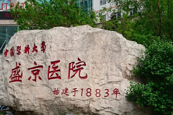 中国医科大学附属盛京医院常鹏做眼袋90天亲测案例全解&技术亮点