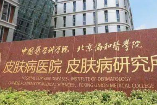 中国医学科学院皮肤病医院杨仁凯脸部松弛下垂提升术后半年经典案例&技术点评